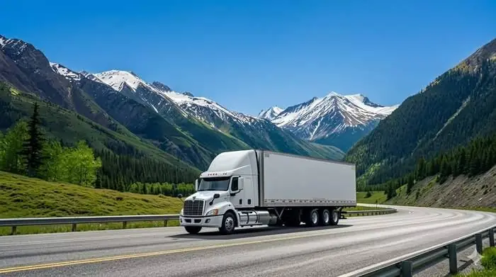 Domestic Freight